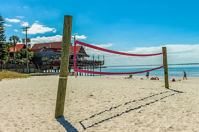 Calvinball - Volleyball Net